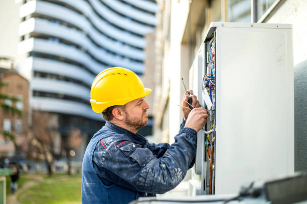 Best Electrical Panel Upgrades  in Waverly, IL